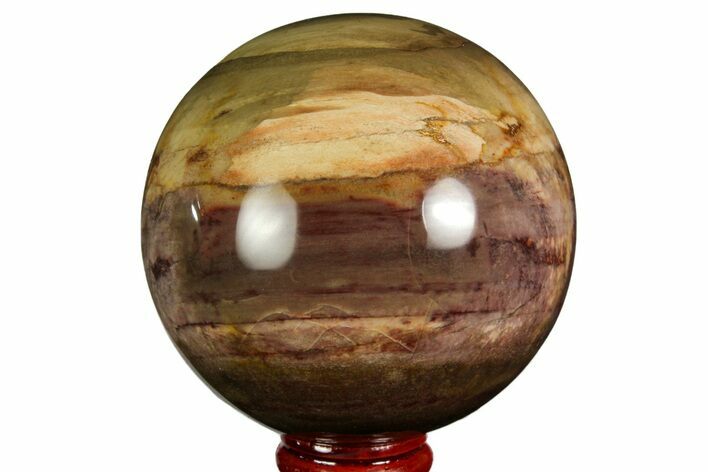 Colorful Petrified Wood Sphere - Madagascar #169141